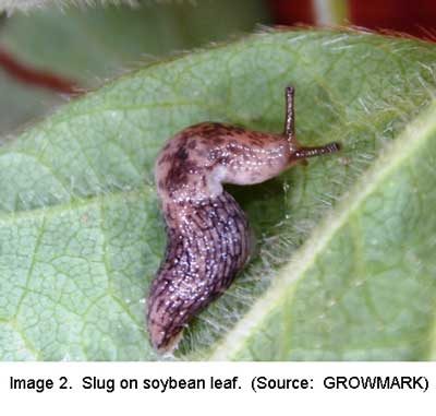 Image-2-slug.jpg Image-2-slug.jpg